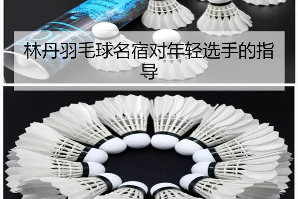 林丹羽毛球名宿对年轻选手的指导